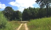 Trail Walking Saint-Crépin-aux-Bois - en forêt de Laigue_3_07_2019_La Malmère_Les Croisettes_Monts du Rond Buisson et des Châtillons - Photo 6