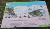 Trail Walking Viols-le-Fort - Viols le Fort chemin des tombes aven Vidal - Photo 10