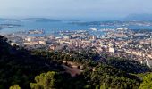 Trail Electric bike Toulon - VTT-AE FARON - Photo 9