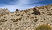 Percorso Marcia Uvernet-Fours - Mont Pelat + Sommet des Garrets - Photo 1