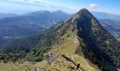 Trail Walking Aillon-le-Jeune - BAUGES: MONT COLOMBIER - Photo 8