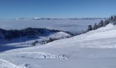Randonnée Ski de randonnée Allevard - tricotage crête des Plagnes - Photo 1