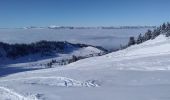 Tour Skiwanderen Allevard - tricotage crête des Plagnes - Photo 1