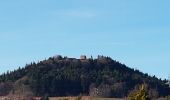 Trail Walking Ammerschwihr - Trois-Epis - château du Petit Hohnack - Photo 3