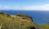 Trail Walking Saint-Denis - sentier Marmaille St Denis La Vigie - Photo 3