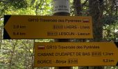 Excursión Senderismo Lescun - GR 10 - 13ème étape : Lescun - col de Barrancq - Borce  - Photo 3