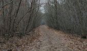 Trail Walking Maasmechelen - La balade des Terhills  - Photo 10