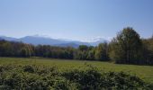 Randonnée Marche nordique Échirolles - La Frange Verte 10 km - Photo 1