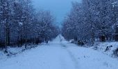 Trail Walking Spa - fagne de malchamp sous les premières neiges de 2025 - Photo 1