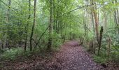 Tocht Stappen Seraing - les bois de l abbaye - Photo 11