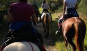 Trail Horseback riding Plainfaing - Acpl 2ème jour plainfaing  - Photo 12
