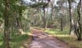 Trail Walking Pelt - De Wulp Hageven Grote Heide 24 km - Photo 7