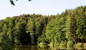 Tour Zu Fuß Löwenstein - WT6 Natur pur rund um Wüstenrot - Photo 7