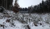 Tour Zu Fuß Engelskirchen - Loope Rundweg A2 - Photo 2