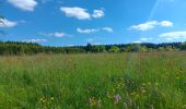 Tour Wandern Vielsalm - fraiture - plateau des tailles  - Photo 19