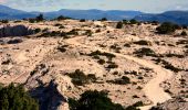 Randonnée Marche Marseille - Gardiole - Cap Gros - Crêtes de l'Estret - Photo 4