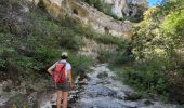 Tour Zu Fuß Gordes - les gorges de la Véroncle - Photo 14