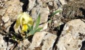 Randonnée Marche Allauch - N D des Anges massif de l'étoile - Photo 10