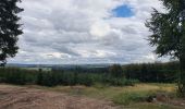 Tour Wandern Sainte-Ode - rando lavacherie 29/08/2020 - Photo 2