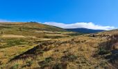 Randonnée Marche Pont de Montvert - Sud Mont Lozère - La Brousse/Sommet de Finiels/ Signal des Laubies - Photo 6