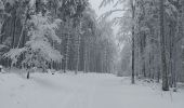 Tocht Sneeuwschoenen Belmont - cascade de la serva - Photo 5