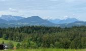 Randonnée Marche Thalgau - De Wasenmoos à la Chapelle du Kolomansberg - Photo 19