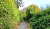 Trail Walking Modave - modave - clavier station, retour par la ligne 126 - Photo 13