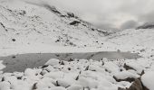 Tocht Stappen Pralognan-la-Vanoise - Pralognan - Lacs des vaches, Long, des Assiettes  - Photo 1