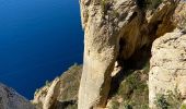 Tour Wandern La Ciotat - La Ciotat Cassis par la falaise cap canaille  - Photo 6