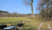 Tour Wandern Simmerath - A la découverte de Lammersdorf 🥾 - Photo 12