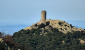 Randonnée A pied Collioure - La Tour Massane par le Chemin de l'Eau - Photo 6