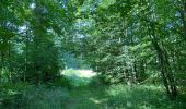 Excursión Senderismo Vieux-Moulin - en foret de Compiègne_38_07_2021_sur la Route Eugénie - Photo 15