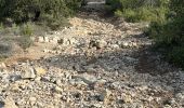 Randonnée Marche Pourrières - Pourcieux :Mont Olympe et Pas du Titet - Photo 6