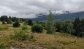 Tour Wandern Arâches-la-Frasse - Mont Jovy pierre à Laya - Photo 7