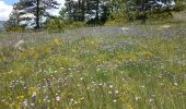 Tour Wandern Rémuzat - REMUZAT - LE MONTROND - Photo 9