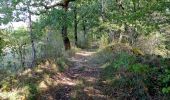 Trail Walking Le Buisson-de-Cadouin - Le Buisson de C. 14km - Photo 5