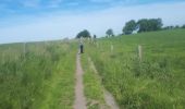 Trail Nordic walking Herve - Battice_Fort - Photo 1