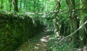 Randonnée Marche Musson - Tour de la forêt des Monts. - Photo 14