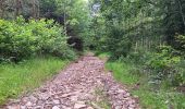 Randonnée Marche Sprimont - plain de fagne . rouge thier . adzeux - Photo 11