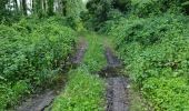 Randonnée Marche Reugny - Découverte de la commune de Reugny - Photo 2