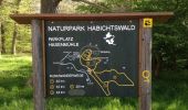 Trail On foot Bad Arolsen - Bonifatiuspfad Abschnitt 3, Volkhardinghausen - Naumburg - Photo 4