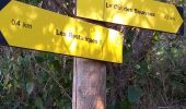 Trail Walking Le Revest-les-Eaux - source de la ripelle - Photo 2