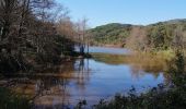 Trail Walking Fréjus - Barrage de Malpasset , lac et gorges d'Avellan - Photo 3