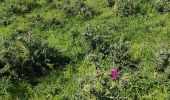 Trail Walking Ault - Ault parle bois de Cise - Photo 2