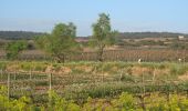 Tour Wandern Logroño - Camino Francés - Etp8 - Logroño - Nájera - Photo 1