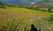 Randonnée Marche Le Poët-Sigillat - poët Sigillat-col de Soubeyrand-Tarendol - Photo 8