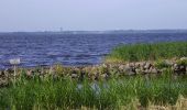 Tocht Te voet Steenwijkerland - WNW WaterReijk - Giethoorn - groene route - Photo 3