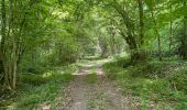 Trail Walking Noroy-sur-Ourcq - en Forêt de Retz_93_05_2022_le Bois de Cresnes - Photo 7
