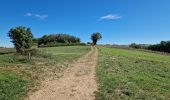 Randonnée Marche Chessy - Pierres-Dorées_Chessy=>Bois-Baron=>Chambonne=>Les-Carrières - Photo 11