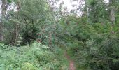 Percorso A piedi Ham-sur-Heure-Nalinnes - Promenade de Cour-sur-Heure - Photo 1